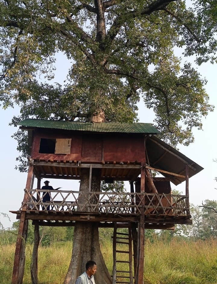 पर्यटकका लागि आकर्षणको केन्द्र बन्दै डल्लाको ‘ट्रि हाउस’